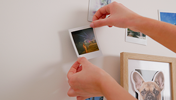 Refresh your space whenever you like