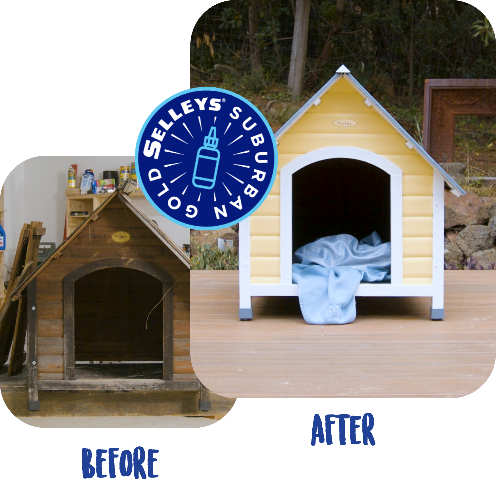 KENNEL